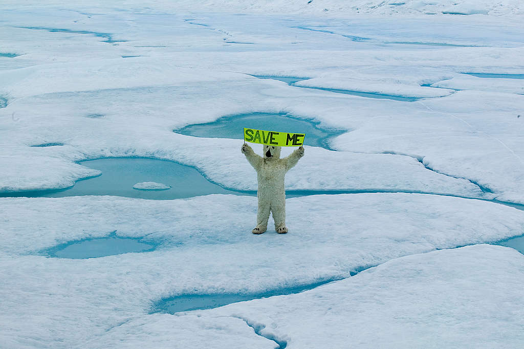 2005年，一身北極熊打扮的綠色和平行動者在格陵蘭浮冰上高舉「SAVE ME」標語，促請各國領袖凝聚共識，拯救北極熊生境。 © Greenpeace / Steve Morgan