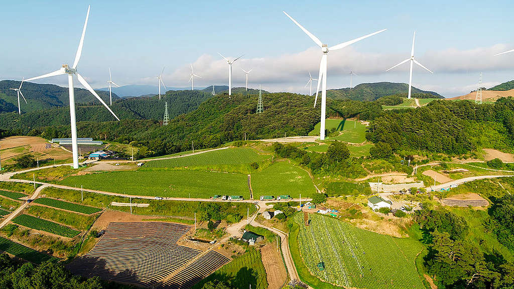 位於韓國慶尚北道英陽郡的風電場，是韓國第三大風電場，預計每年可產生134百萬度的可再生能源電力。© Greenpeace