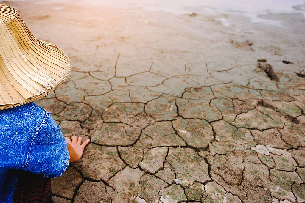 旱災在部份地區正加劇水資源短缺危機，影響民眾健康與生產力。© seamind224 / shutterstock.com