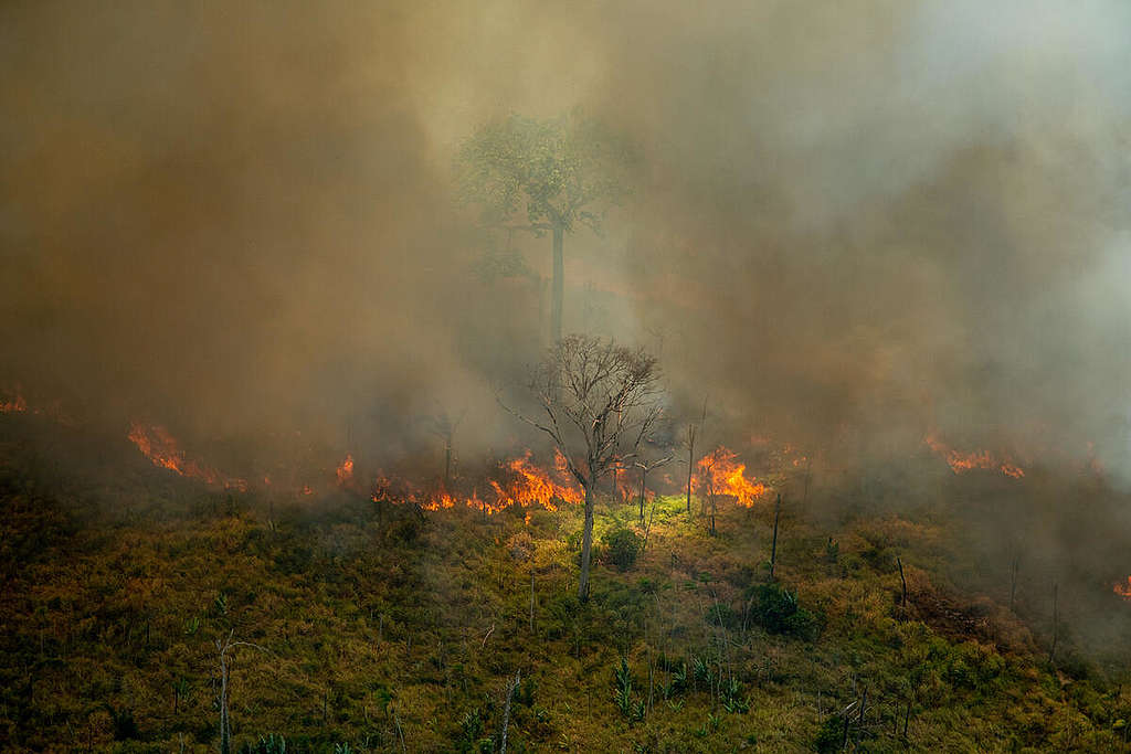 2021年7月29日到31日，綠色和平實地於亞馬遜雨林上空監測、記錄森林砍伐和森林火災情形，森林被毀、清空，主要用以提供工業畜牧業之用。© Christian Braga / Greenpeace