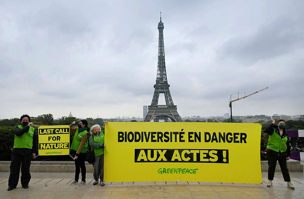世界自然保護大會召開前夕，綠色和平行動者促請法國當局把握餘下任期，為守護生物多樣性許下莊嚴承諾。 © Greenpeace