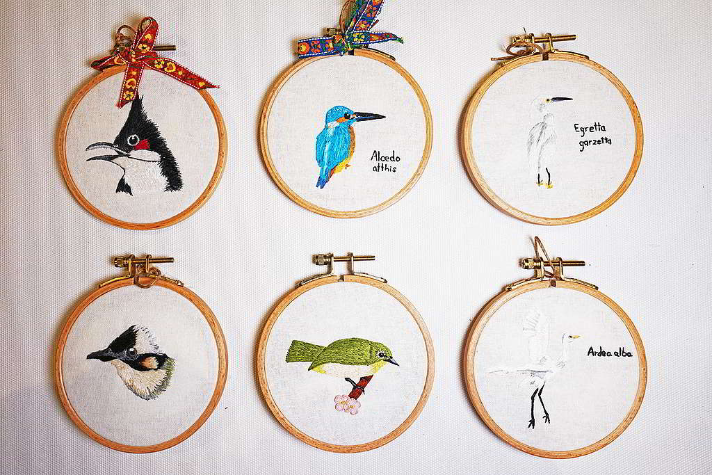 Ryann選擇用來作刺繡題材的大多是香港十分常見的鳥類。 ©ABCAT / Greenpeace