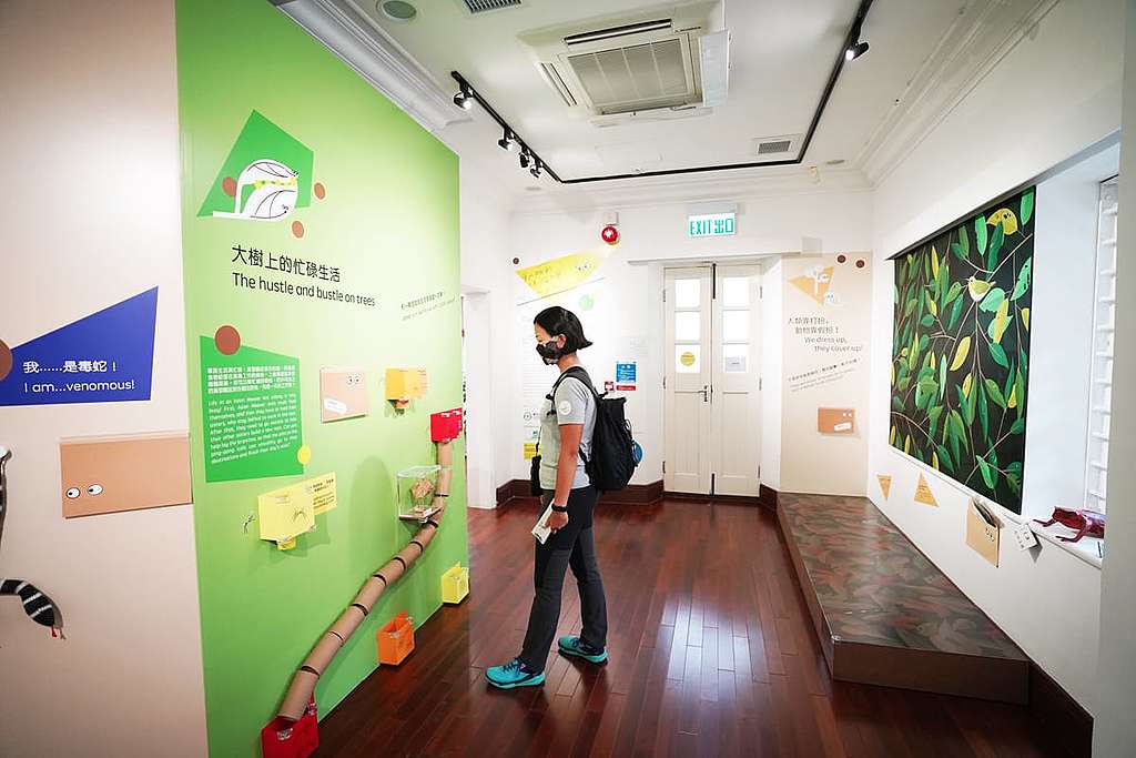 展覽有10個不同展區，結合遊戲令小朋友寓學習於娛樂。 © ABCAT / Greenpeace