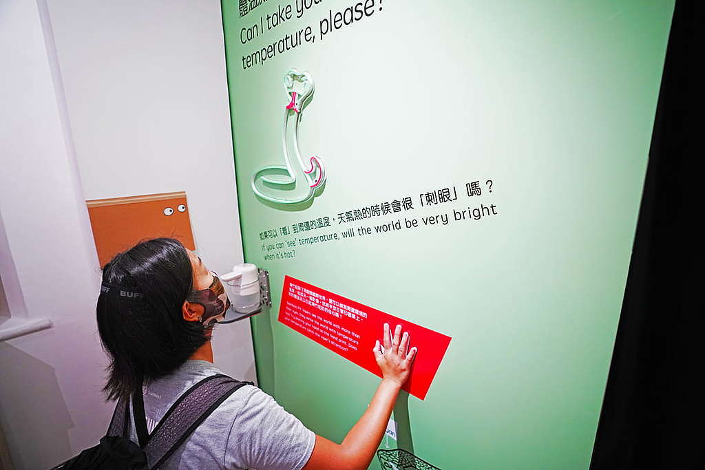 青竹蛇的獨特結構可以探測外界的溫度，小朋友可把手放在感應器上，如果青竹蛇感應到還會發光呢。 © ABCAT / Greenpeace