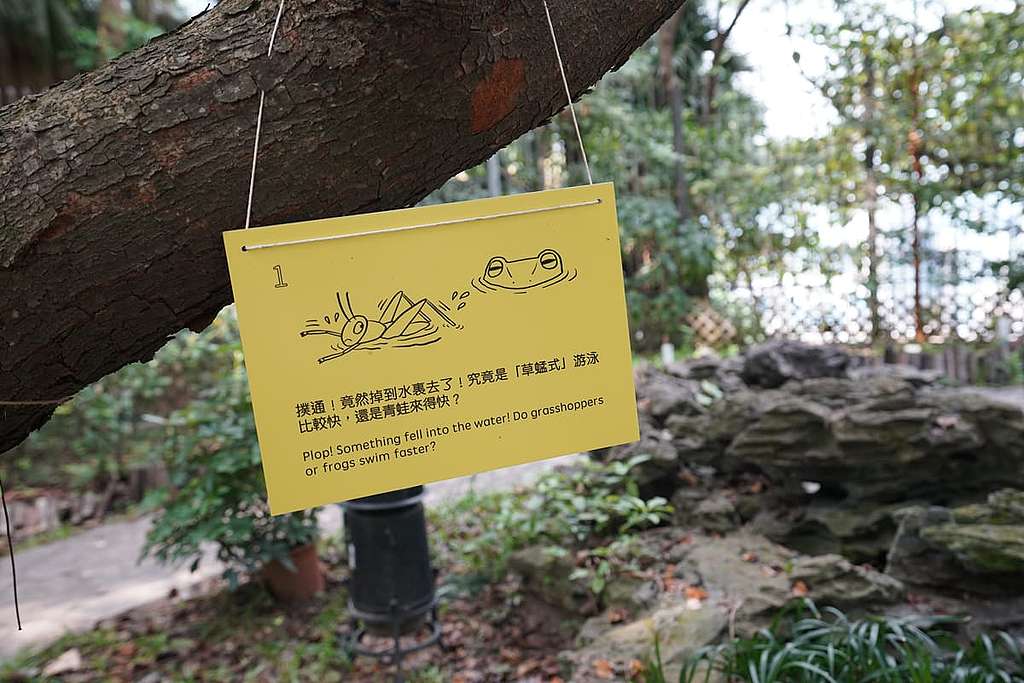 一不小心，草蜢可能會掉入水池呢。 © ABCAT / Greenpeace