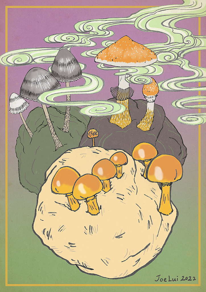 【趣怪菇菌】魔菇 © 呂朗婷