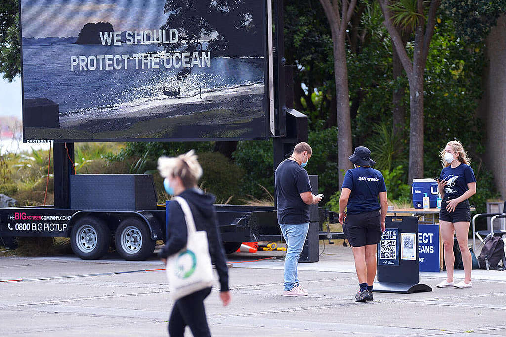 綠色和平紐西蘭辦公室在威靈頓街頭親身向市民講解守護海洋最新資訊，號召更多人加入聯署守護海洋。 © Greenpeace / Dave Lintott