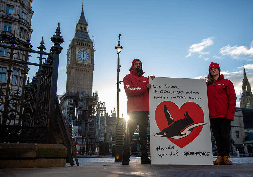 「Waddle you do?」綠色和平英國辦公室行動者今年情人節以企鵝之名，向英國外相卓慧思（Liz Truss）送上百萬人聯署的心意卡，促請英國政府支持制訂全球海洋公約。 © Chris J Ratcliffe / Greenpeace