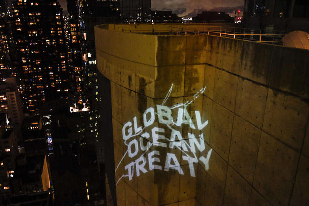 綠色和平美國辦公室團隊在紐約第一聯合廣場千禧酒店外牆，投射支持制訂全球海洋公約的訊息，確保代表團看得見全球500萬人的心聲。 © Stephanie Keith / Greenpeace