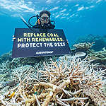 8年5度大規模白化 澳洲大堡礁恐列「瀕危」自然遺產
