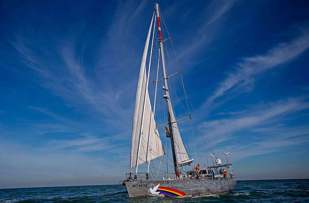 見證者號將繼續巡航世界各地，履行守護海洋使命。 © Marten van Dijl / Greenpeace