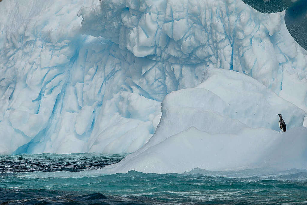南極是全球暖化速度最劇烈地區之一；2022年1月，綠色和平船艦極地曙光號前往南極進行「企鵝普查」，發現氣候變化已影響阿德利企鵝的群落分佈。 © Tomás Munita / Greenpeace