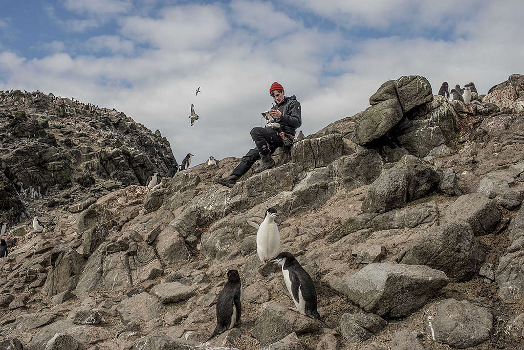 南極／企鵝普查：呆萌企鵝在前，美國石溪大學科學家卻無暇細賞，因為今年 1 月隨船艦極地曙光號前往南極的他們，忙於點算企鵝數目，並以航拍機作交叉比對，從而剖析企鵝於棲息地面臨的生存危機，為訂立《全球海洋公約》增添理據。 © Tomás Munita / Greenpeace