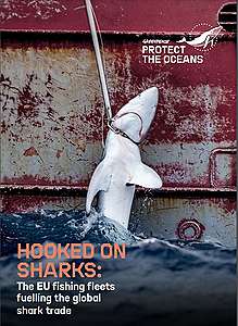 《殺戮鯊場：歐盟捕魚船隊助長全球鯊魚貿易》報告 © Greenpeace