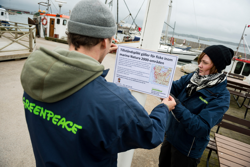 2012 年綠色和平北歐辦公室守護海洋團隊，在瑞典的港口張貼有關《環境法》規定的捕撈許可證規定的海報。© Greenpeace / Christian Åslund