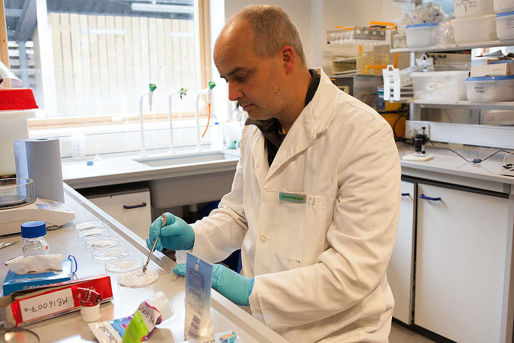 綠色和平資深科學家 David Santillo 博士，於綠色和平在英國艾克斯特大學的科學實驗室，進行塑膠微粒檢測。© Vanessa Miles / Greenpeace