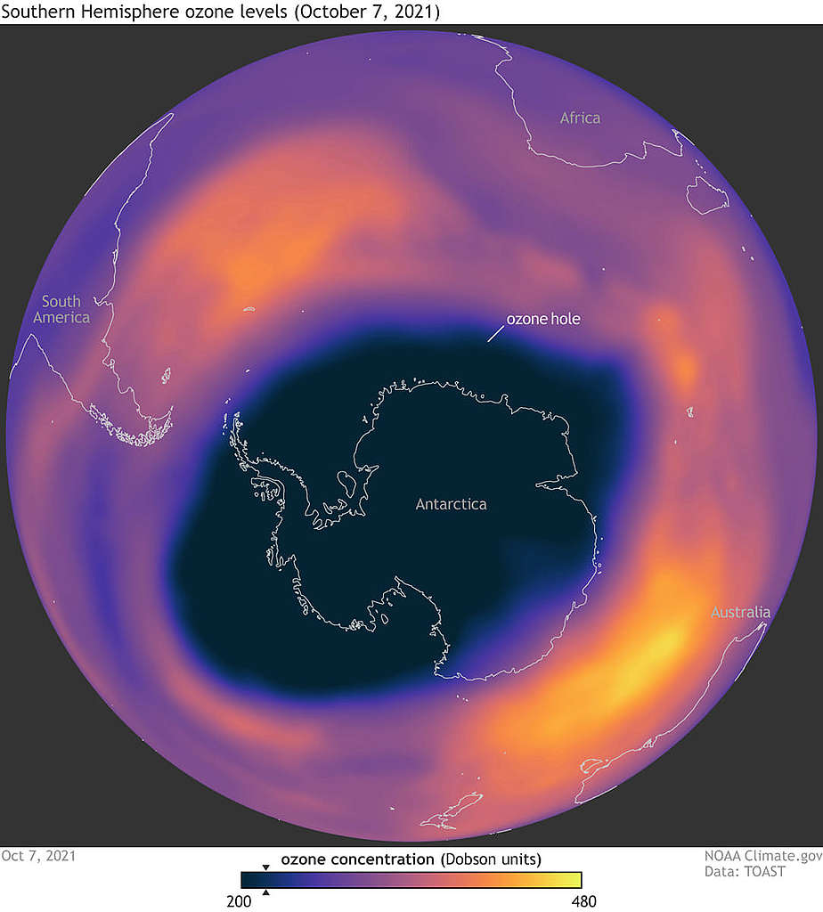 2021 年 10 月 7 日，南極洲上空最大「破洞」示意圖──所謂「破洞」是指臭氧水平低於 220 多布森單位（Dobson Units）的範圍。 © Climate.gov