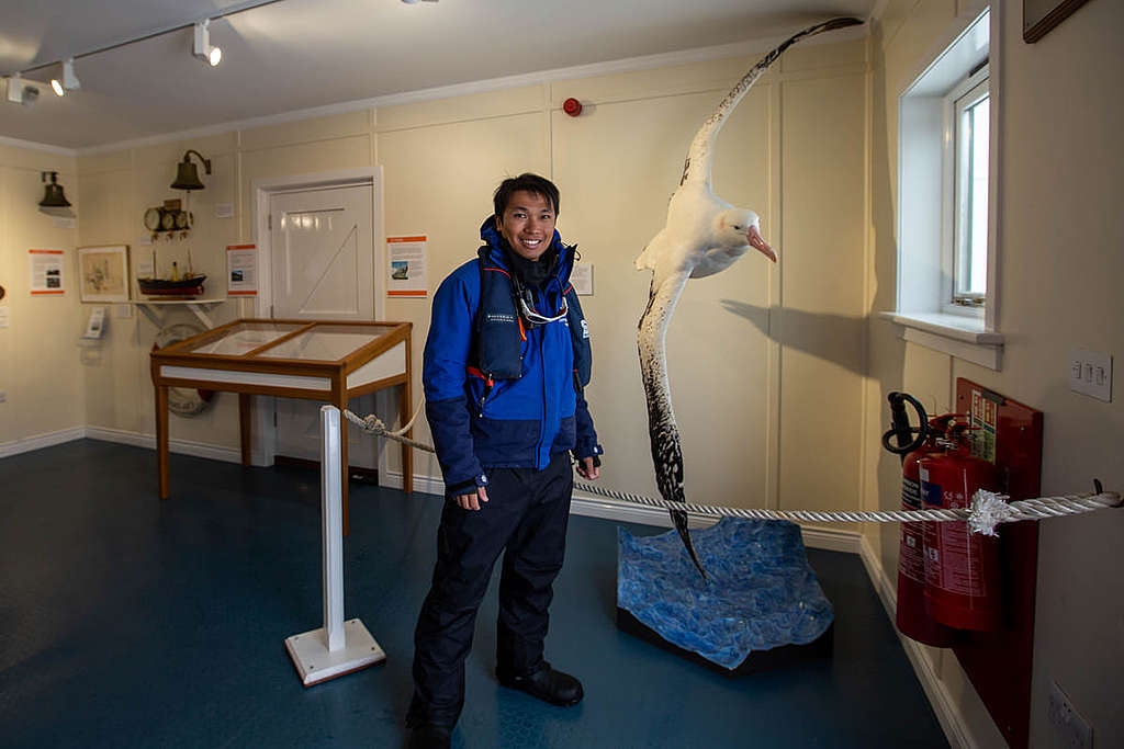 在南喬治亞島（South Georgia Island）博物館裏的流浪信天翁模型；牠是地球上最大的鳥類之一，平均翼展為 3.5 米。 © Wilson Cheung