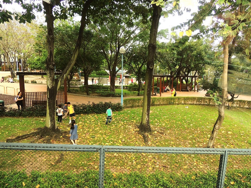 公園靠聯合道這邊，小朋友在大樹草地間玩耍，享受自由和自然。 © helen yip
