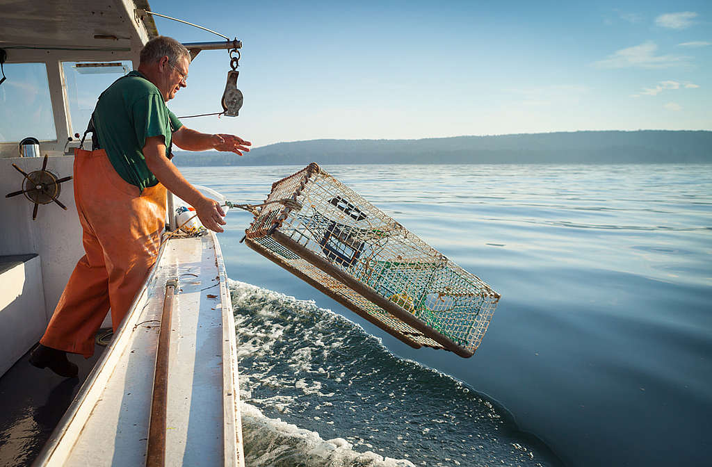 龍蝦漁民在美國緬因州設置數以百萬計捕蝦籠，對瀕危北大西洋露脊鯨構成威脅。 © Shutterstock / spwidoff