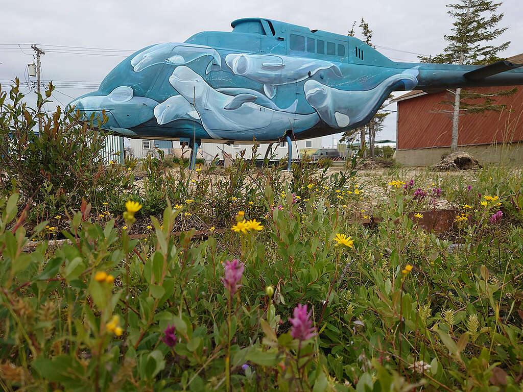 一架被棄置在加拿大哈德遜灣的直升機，由當地藝術家塗上白鯨群圖案！ © Wilson Cheung