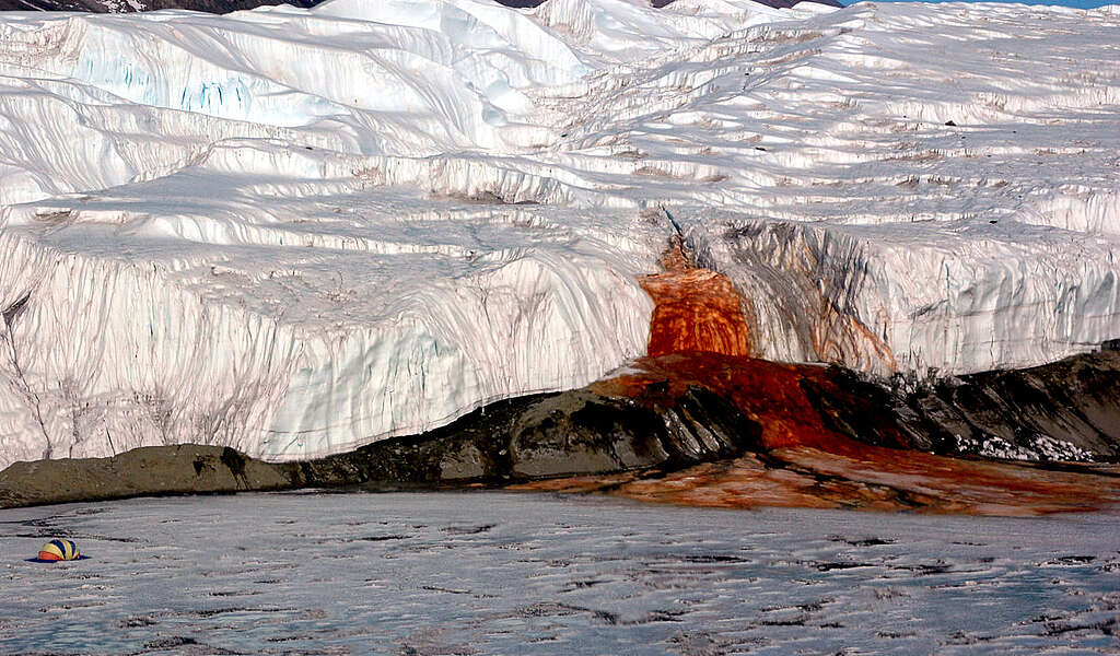 這道由泰勒冰川（Taylor Glacier）流入邦尼湖（Lake Bonney）的南極「血瀑布」奇觀，一度成為科學界百年不解之謎，後來才證實「元兇」是類似鐵鏽的氧化原理。 © Public domain (Peter Rejcek)
