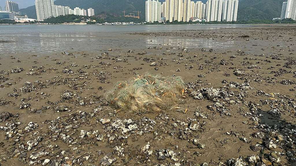 泥灘上的鬼網，非常難以清除。 © Kami Hui