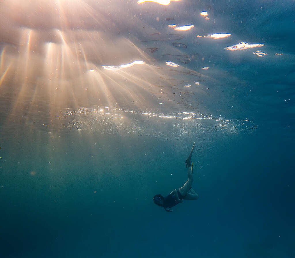 風靡全球的 Netflix 影集《紙房子》女星 Alba Flores 隨同綠色和平船艦極地曙光號前往加拉帕戈斯群島，並親身「潛入」海洋保護區探索海底風光。 © Johis Alarcón / Greenpeace