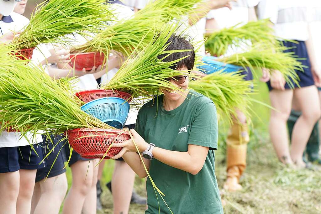 Kami 於河上鄉帶領田米插秧活動，正分發稻苗。© ABCAT / Greenpeace