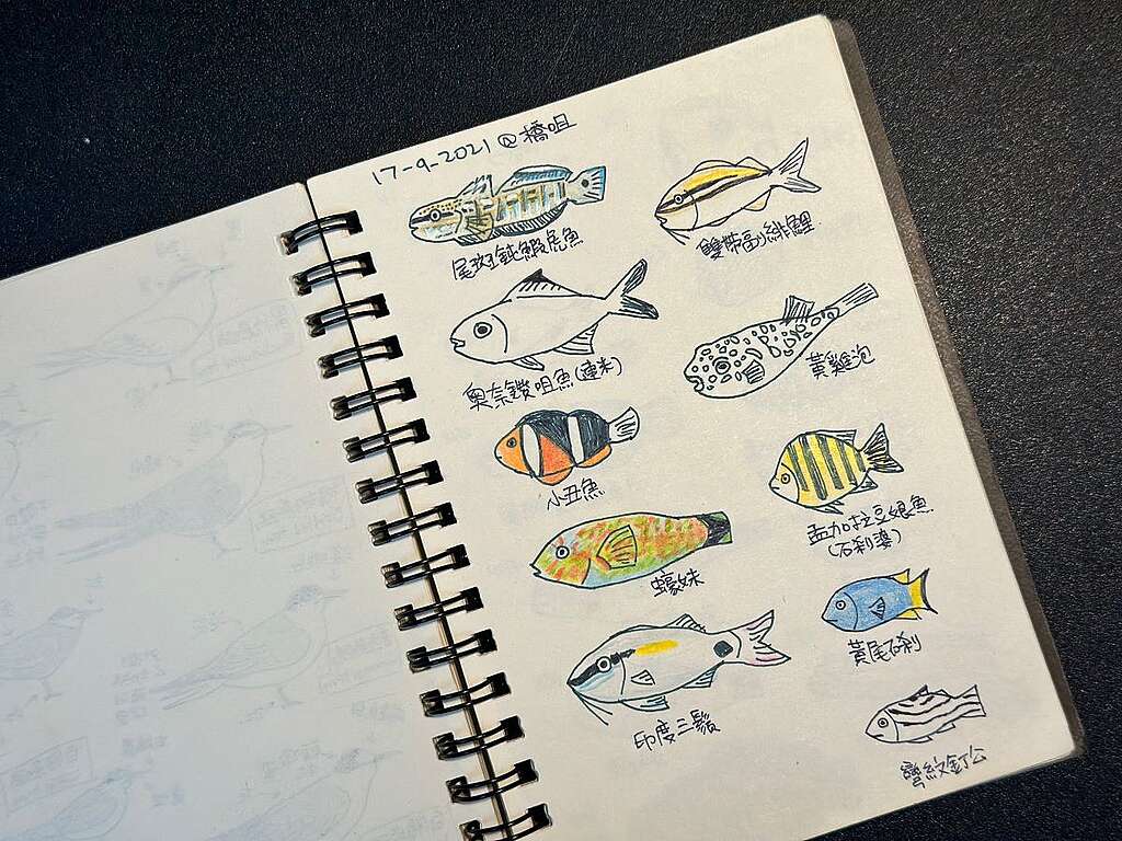 Kami 不單喜歡上山，也喜歡浮潛。她亦會畫下見到的魚類作為紀錄，自作手繪的魚類圖冊。© Kami