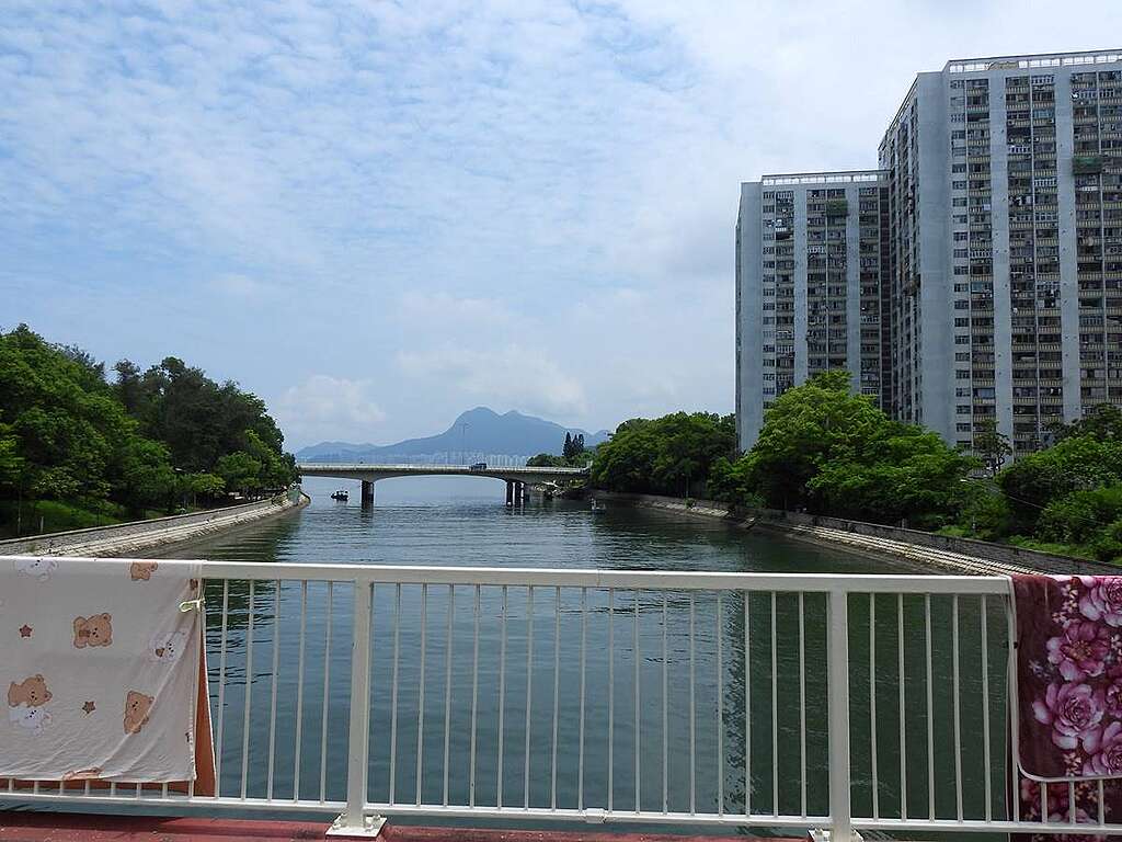 林村河流經大埔，有幾道橋跨越河道之上，經過廣福邨後流出吐露港（圖遠前方）。 © helen yip