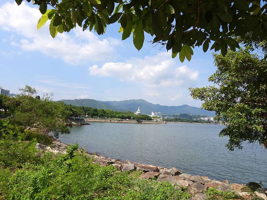 元洲仔公園享有迷人景觀，可見對岸大埔海濱公園的回歸紀念塔，還有八仙嶺美麗的山脊線。海灣長短海堤之間，是林村河出吐露港位置。© helen yip