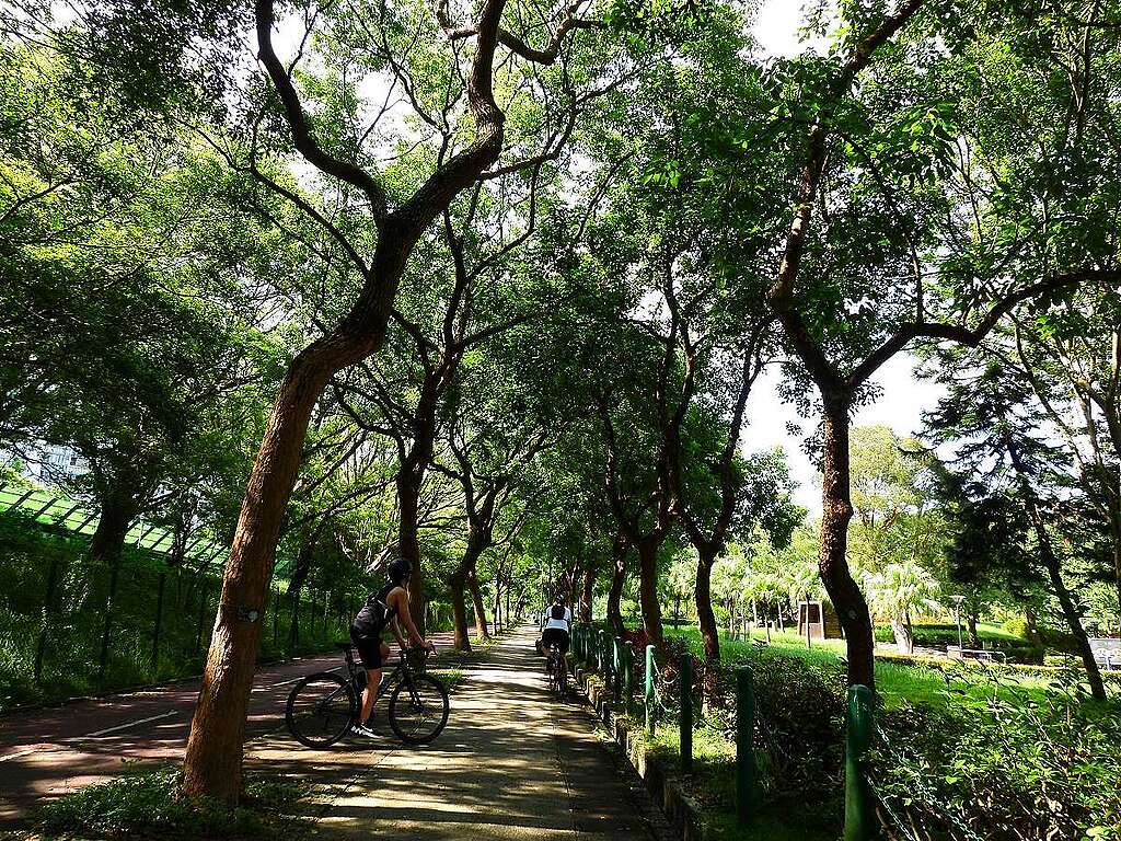 元洲仔里連接單車徑的路段，夾道綠蔭，東連元洲仔公園（圖右），即使炎夏中午也舒然。 © helen yip