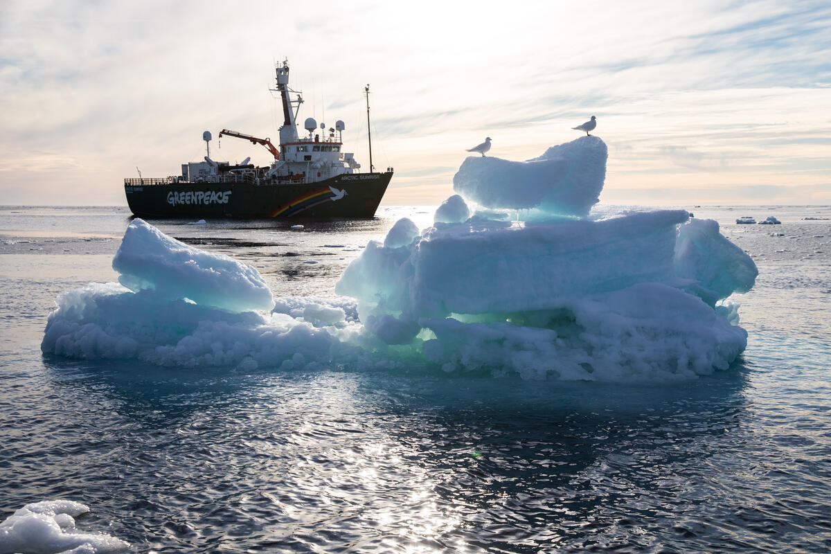 綠色和平船艦極地曙光號9月到訪北極並完成多項科研任務，包括實地見證年度海冰最小值，以及蒐集生物與環境樣本作進一步分析。© Daniella Zalcman / Greenpeace
