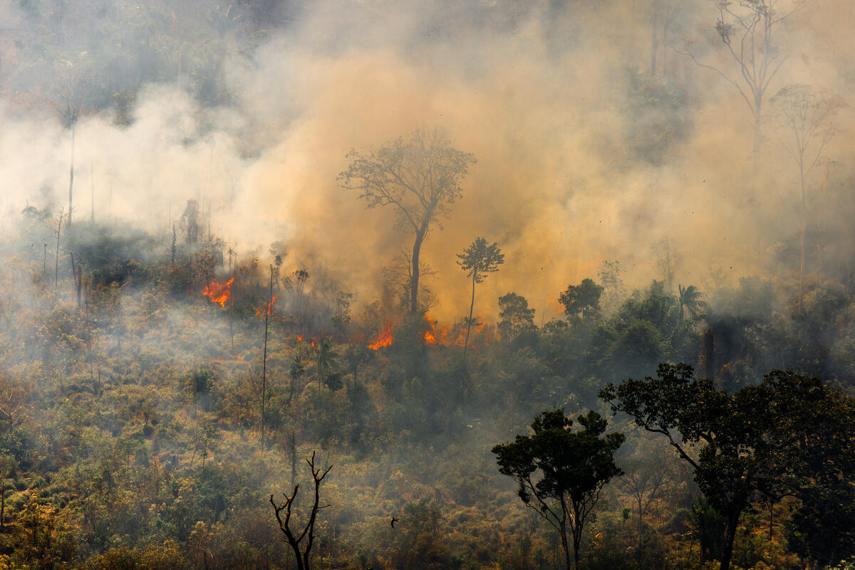 2020年8月綠色和平進行年度亞馬遜雨林飛行監測，紀錄到帕拉州（Pará）Novo Progresso火場情況，這裏屬於Prodes（2017-2018）系統的警告熱點。 © Christian Braga / Greenpeace