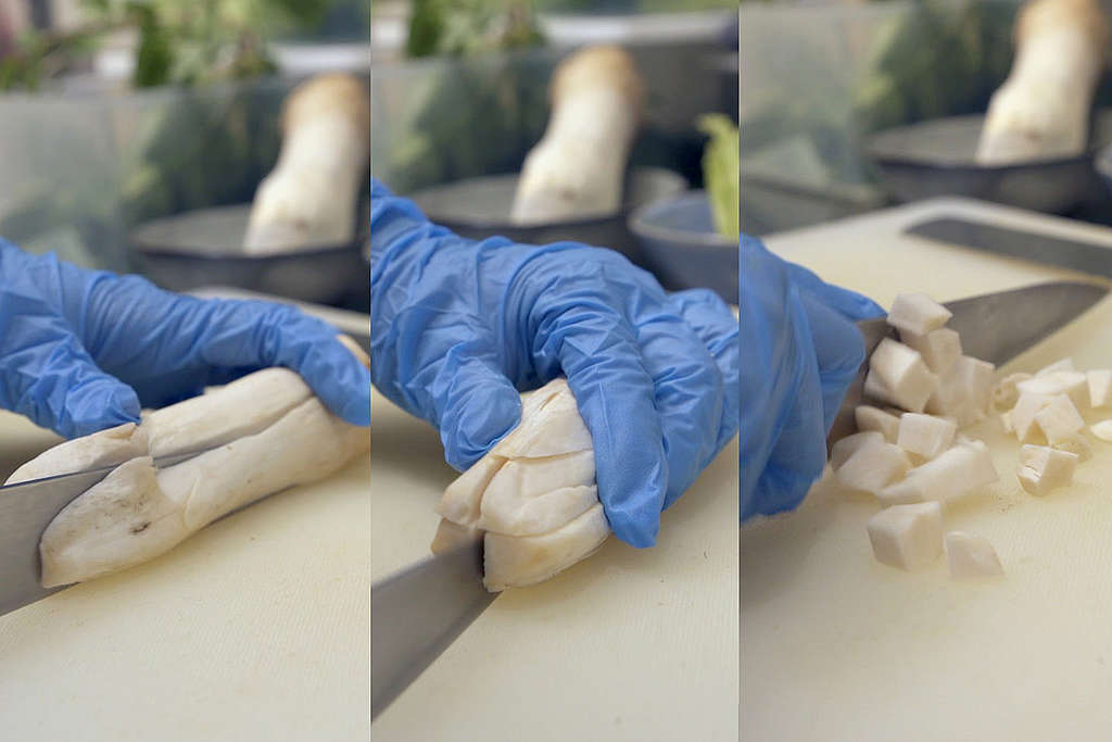 必學極速切雞髀菇大法，世界從此不一樣。© Greenpeace