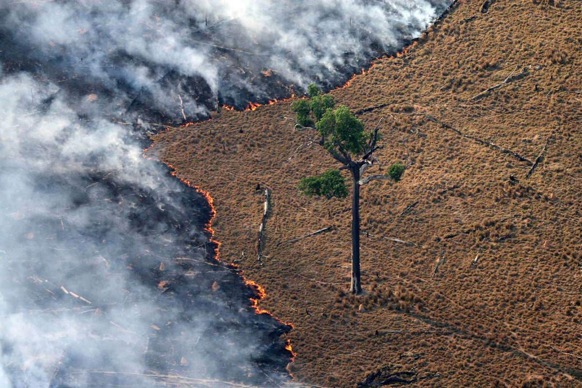 Burning Pasture in Amazon. © Greenpeace / Rodrigo Baléia