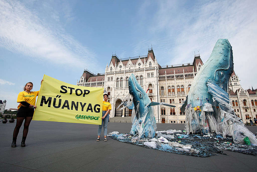 Kihátrál a kormány a műanyag zacskók tilalmából? - Greenpeace Magyarország
