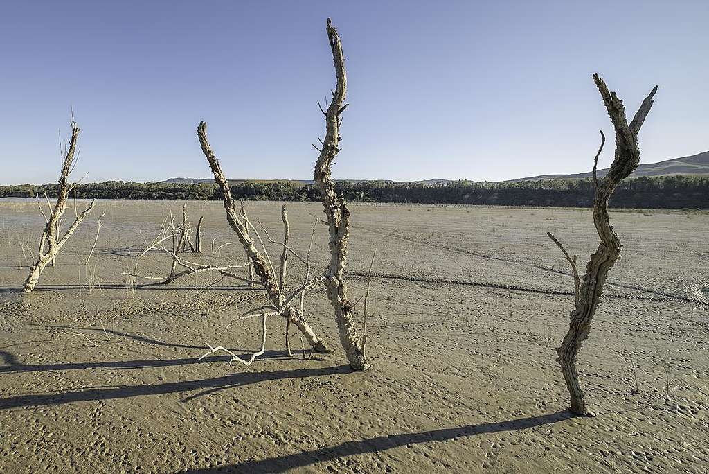 Drought in Basilicata, Italy. © Giuseppe Lanotte / Greenpeace