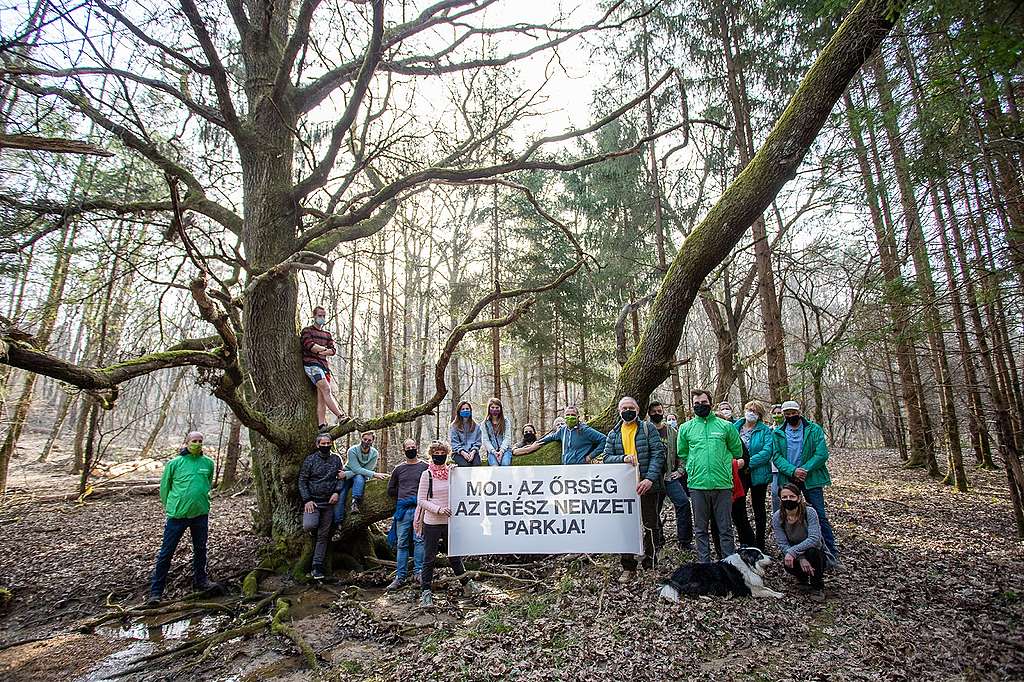 Nemzeti parkjainkban nincs helye fosszilis energiahordozók kitermelésének -  Greenpeace Magyarország