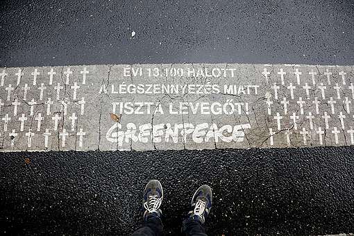 Jelentős nitrogén-dioxid-szennyezettség a buszmegállókban - Greenpeace  Magyarország