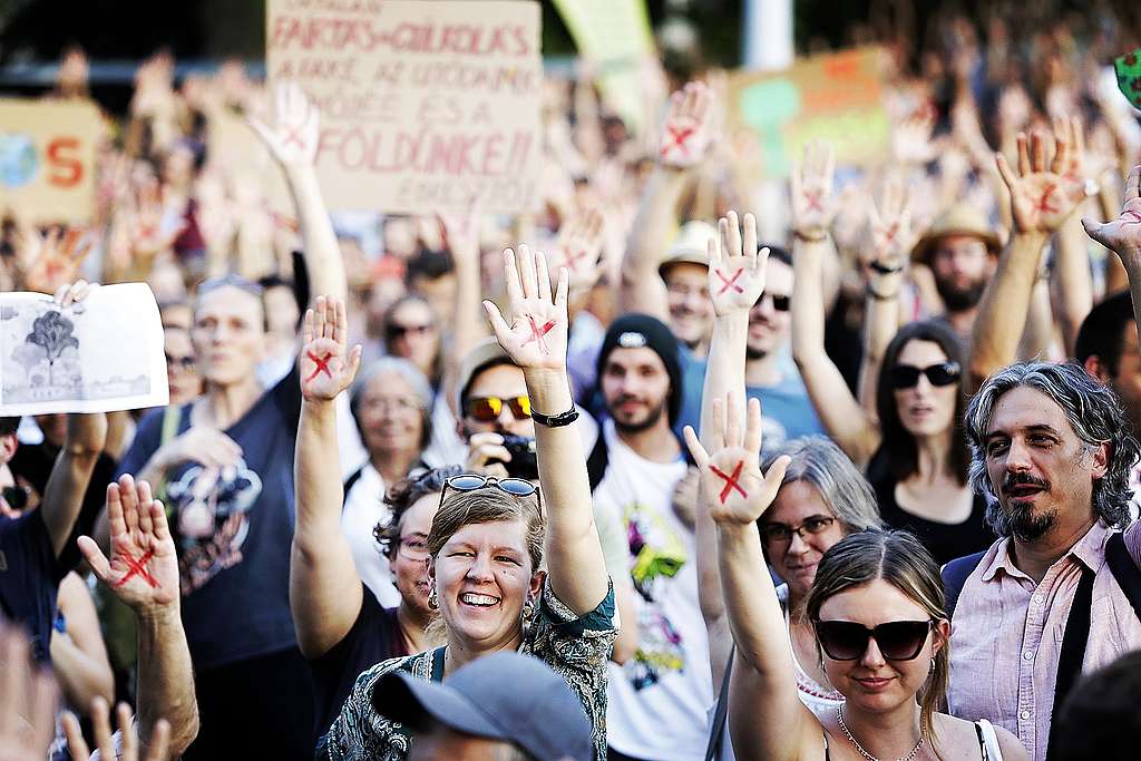 Ezrek tüntettek az Akadémia előtt – továbbra is az erdeinket pusztító  kormányrendelet visszavonását követelik - Greenpeace Magyarország