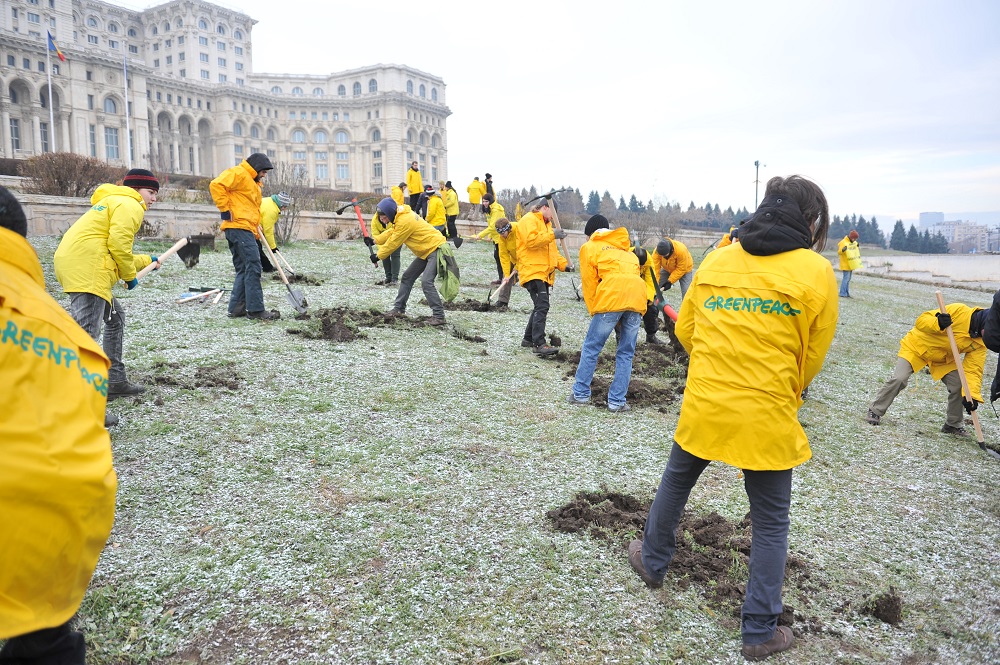 Greenpeace-aktivisták aranyat ástak a romániai parlament udvarán