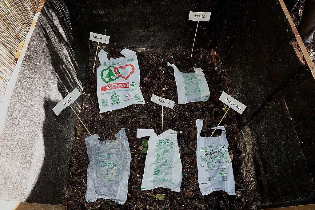 Lebomlóként árult zacskókat komposztált 2023-ban a Greenpeace és a Humusz, hogy felmérjék, valóban lebomlanak-e. © Járdány Bence / Greenpeace
