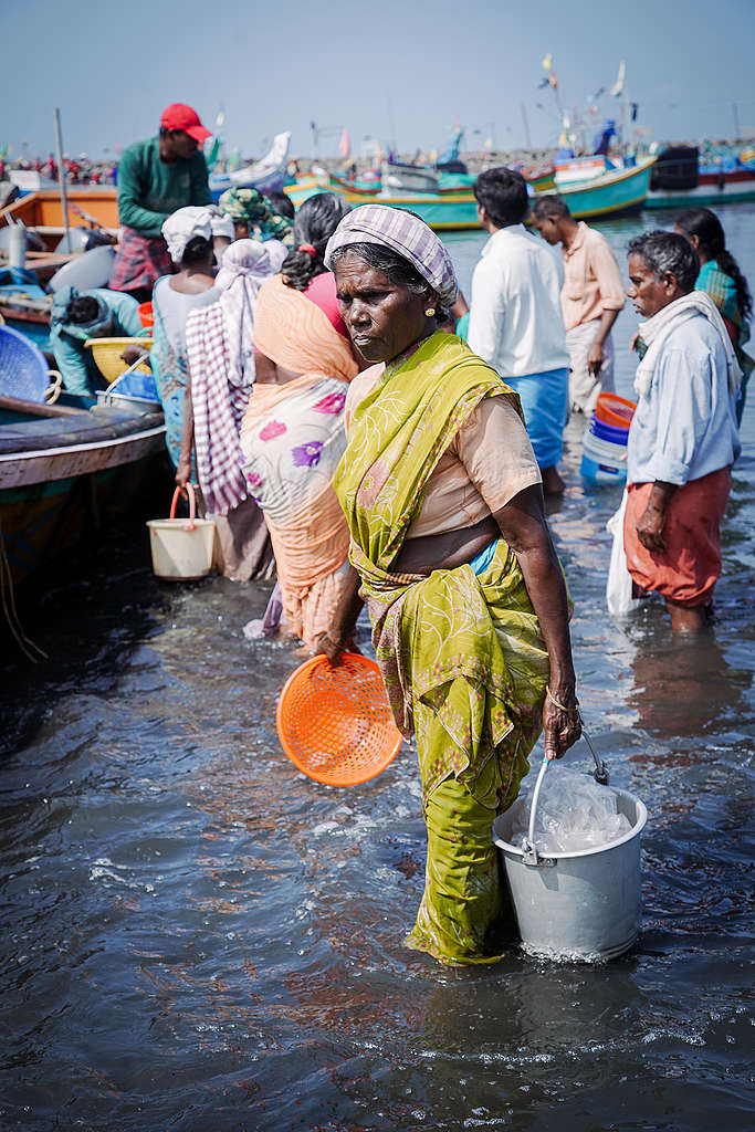 World Fisheries Day: Drowning under climate impacts, fisherfolk need  equitable solutions - Greenpeace India