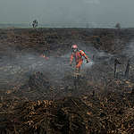 Kebakaran Lahan Terjadi di Areal Pemasok Sawit untuk Perusahaan Merek Ternama Dunia