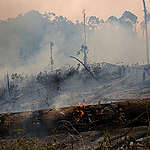 Forest Fires in Indonesia. © Vinai Dithajohn
