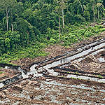 Forest Destruction in Sumatra. © Jeremy Sutton-Hibbert