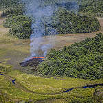 Forest in Southern Papua. © Jurnasyanto Sukarno / Greenpeace