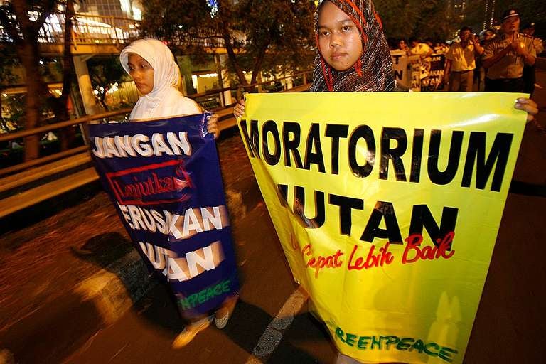 Pertanyaan Krisis tentang Iklim Apa yang bisa saya bantu?  Greenpeace